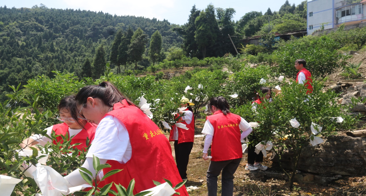 半岛体育-青年团队集体发挥力挫宾斯通